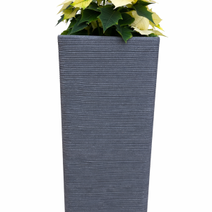 Shabby Portavaso Quadro